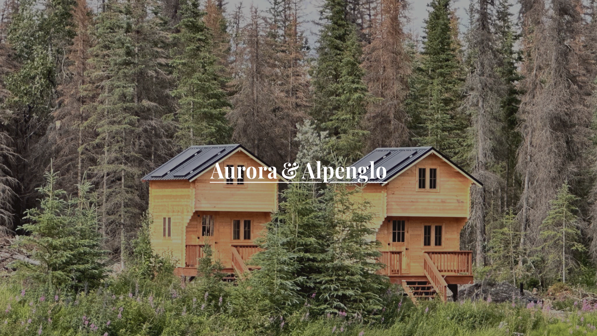 Rental image