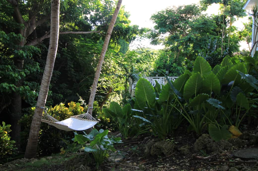 Hammock in the Gully