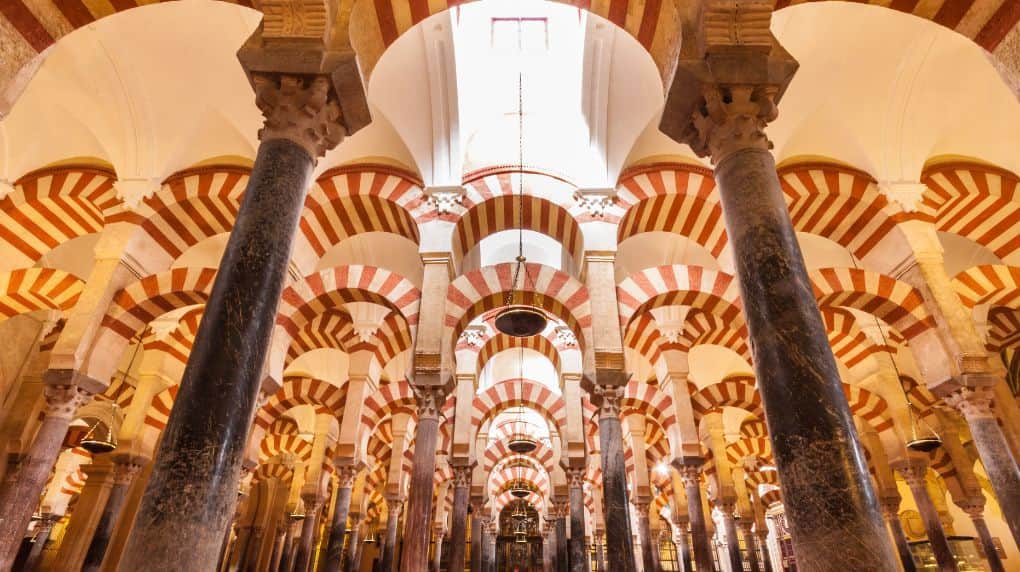 Image Title