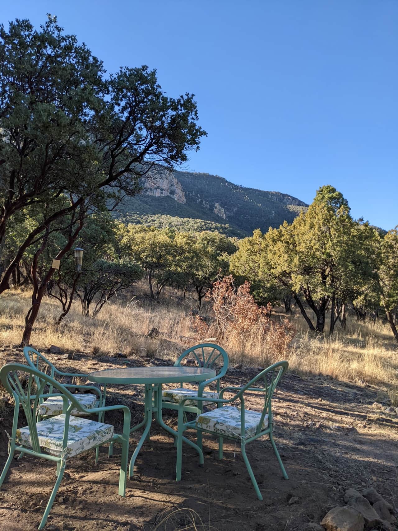 View from seating area on Majestic View trail.