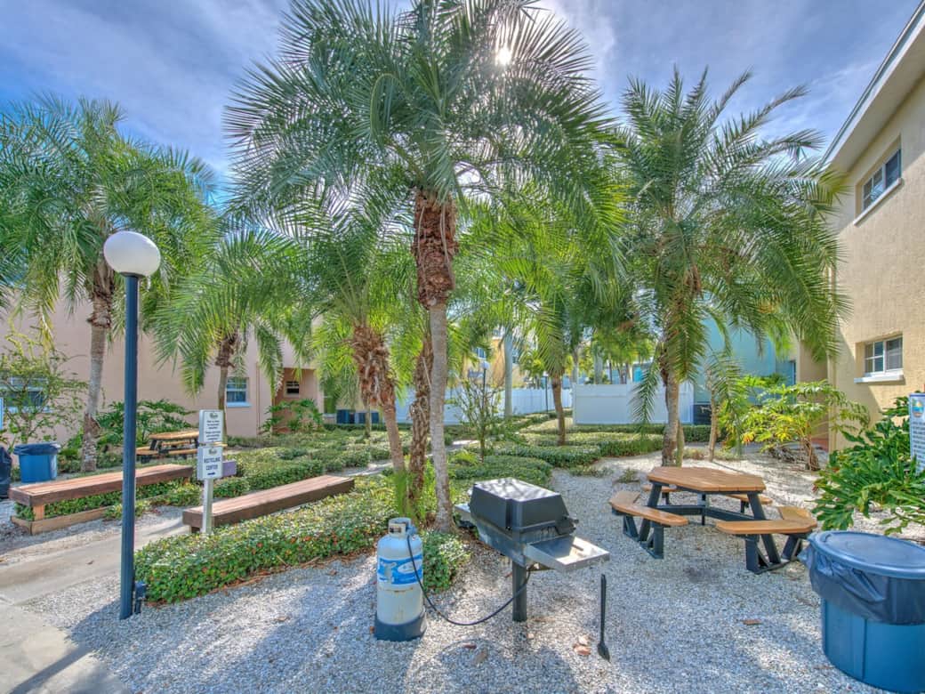 nice area for a picnic