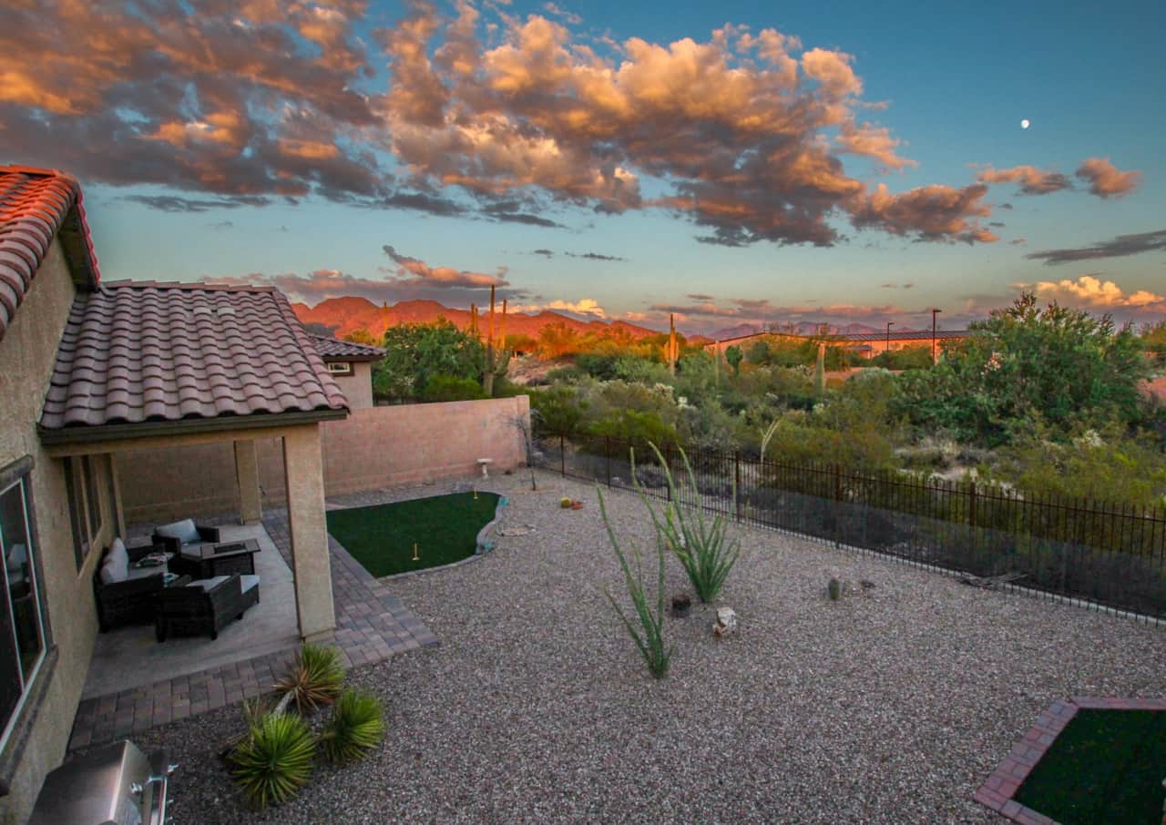 Back yard views