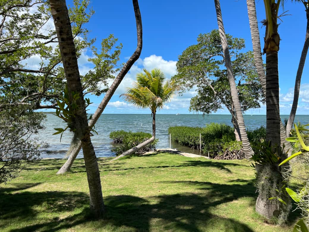 Private backyard, beach and dock