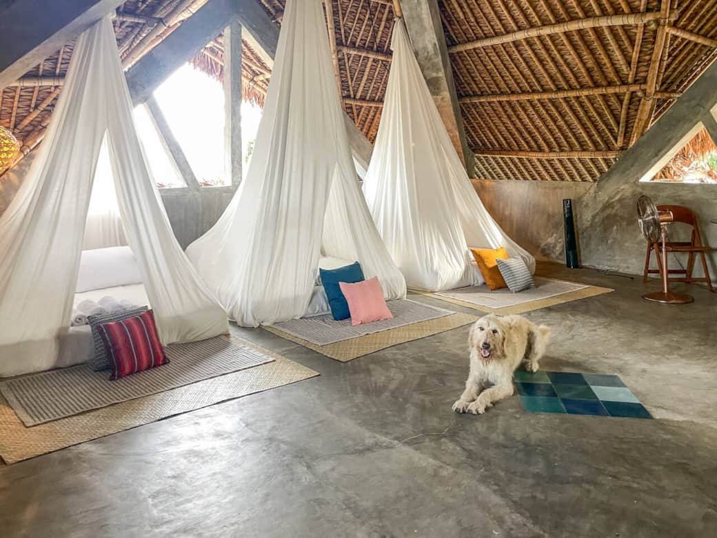 You get one of these Queen-sized beds all to yourself!