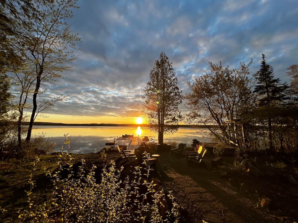 L'été, bord du lac L'été, bord du lac