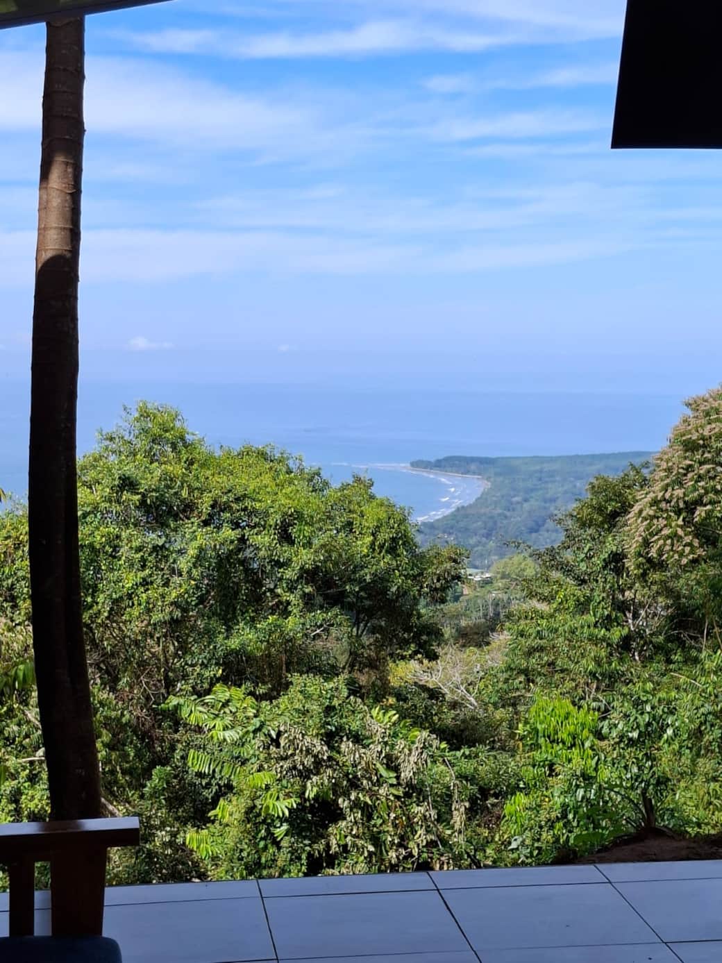 PAVON OCEAN VIEW 