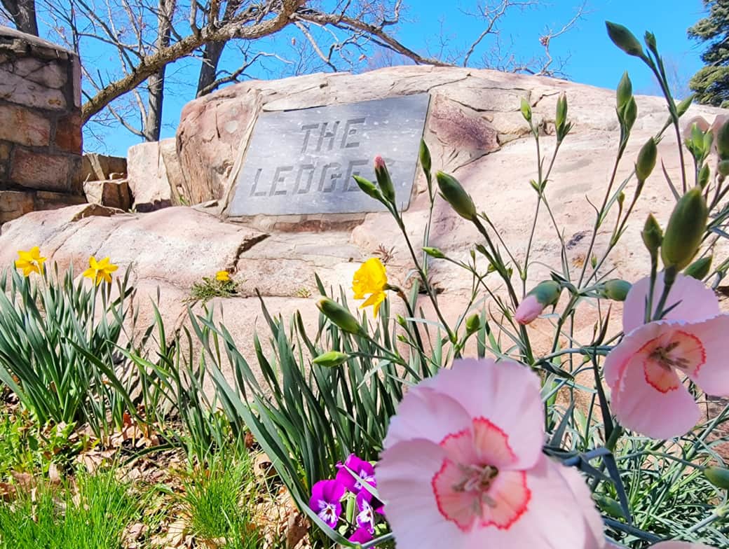 Ledge Rock Flowers