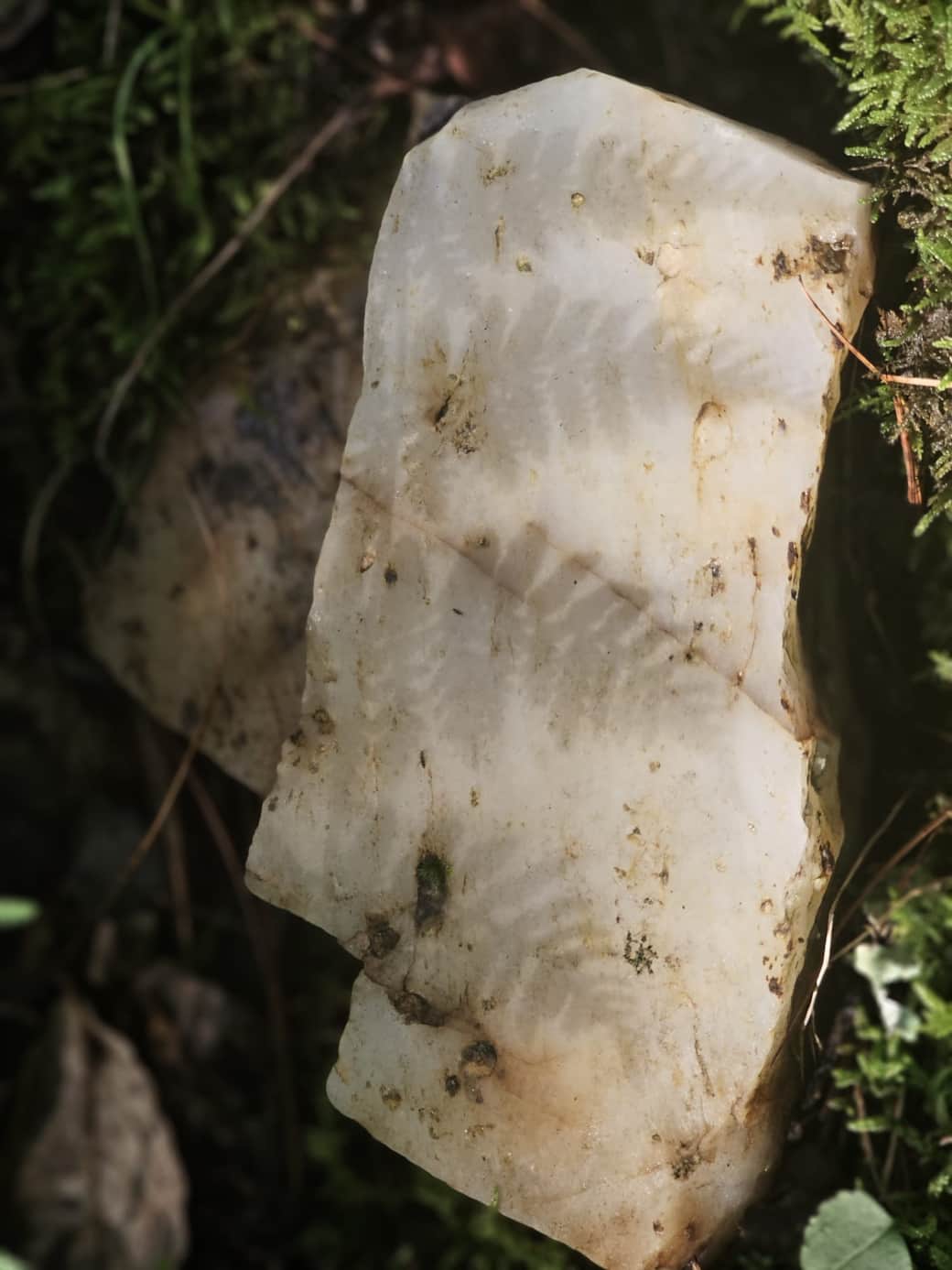 Quartz Vein Throughout