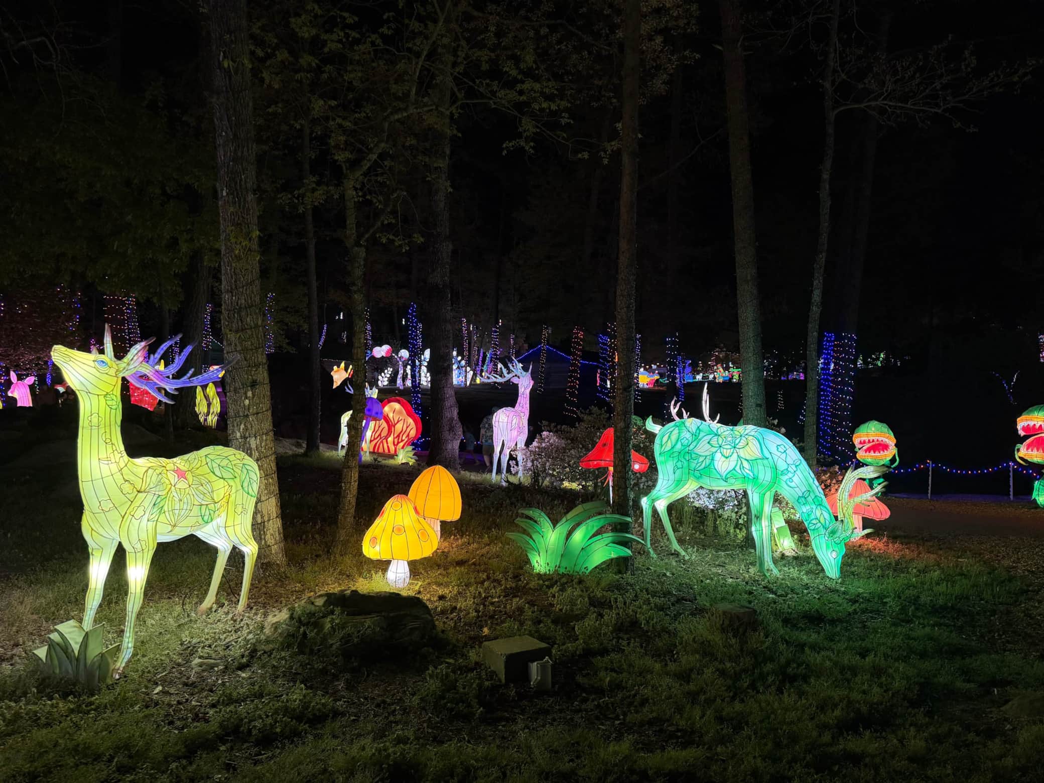 Spring Lantern Festival