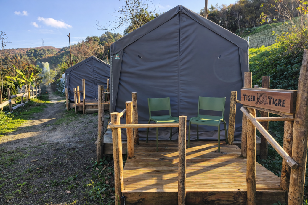 All our safari glamping units offer the same thoughtfully designed interior, combining comfort and simplicity in nature.Each unit is prepared with either a single bed or a king-size bed, and the preferred configuration is confirmed with every guest prior to arrival to ensure a comfortable stay. All our safari glamping units offer the same thoughtfully designed interior, combining comfort and simplicity in nature.Each unit is prepared with either a single bed or a king-size bed, and the preferred configuration is confirmed with every guest prior to arrival to ensure a comfortable stay.