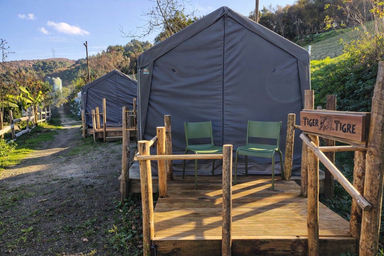 All our safari glamping units offer the same thoughtfully designed interior, combining comfort and simplicity in nature.Each unit is prepared with either a single bed or a king-size bed, and the preferred configuration is confirmed with every guest prior to arrival to ensure a comfortable stay.