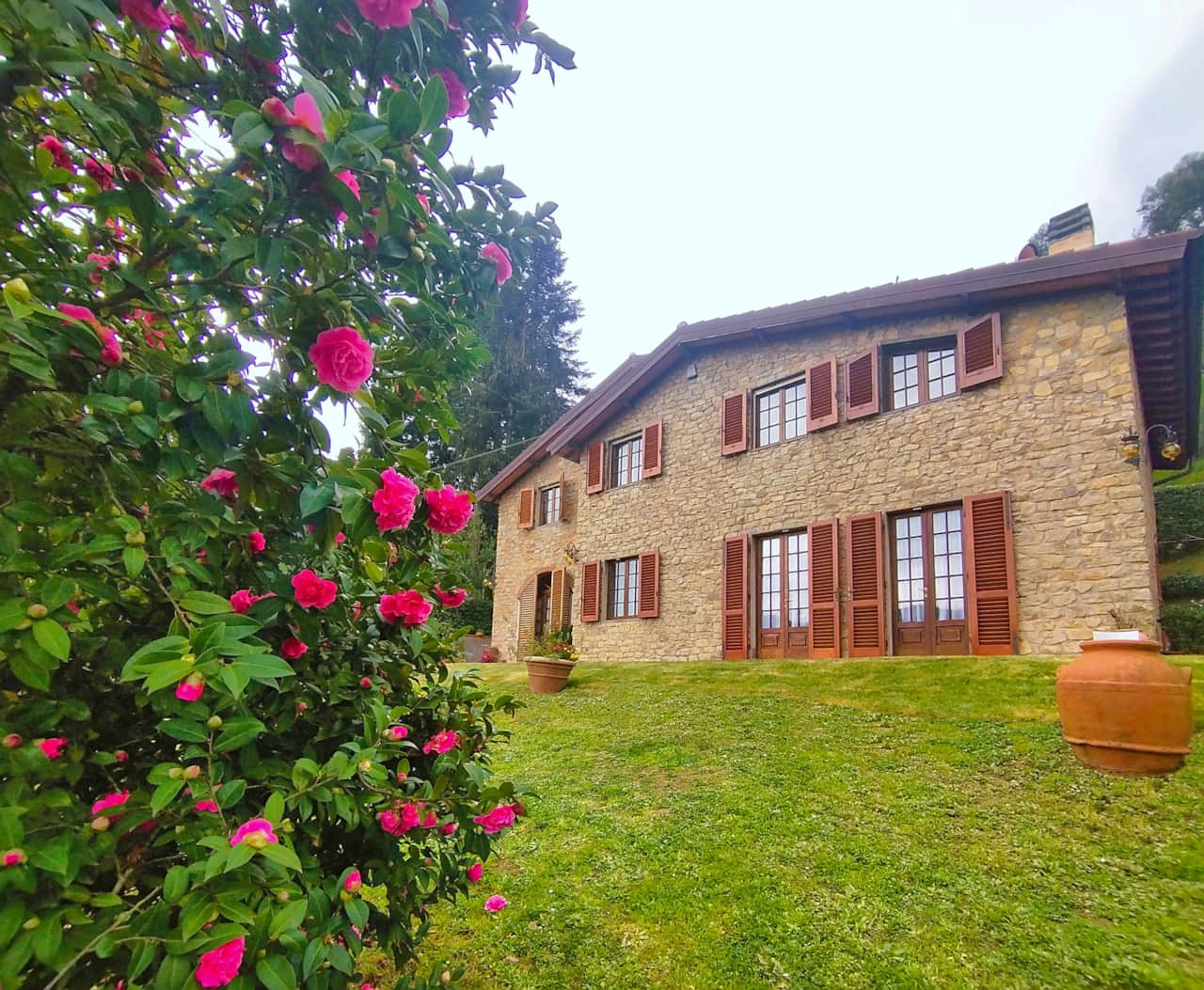 Villa camelia tuscany with camellia tree