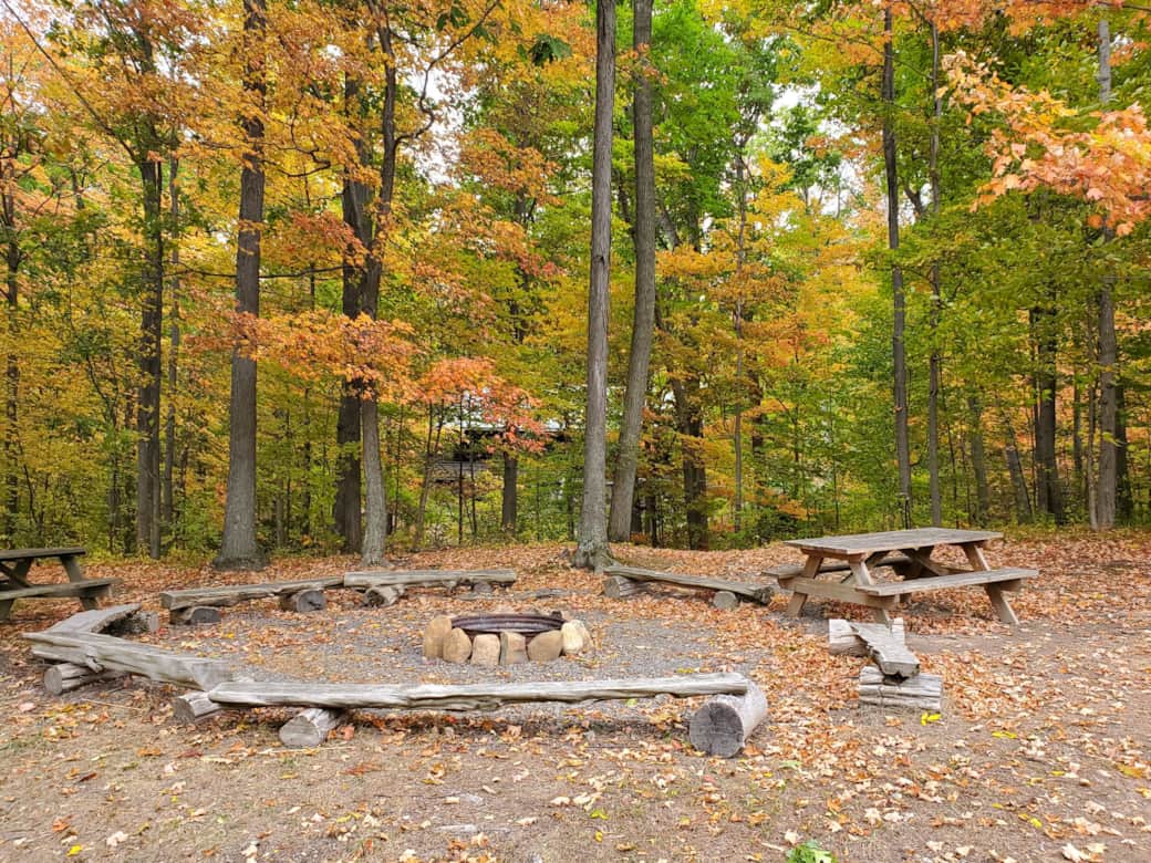 Primary Fire Pit