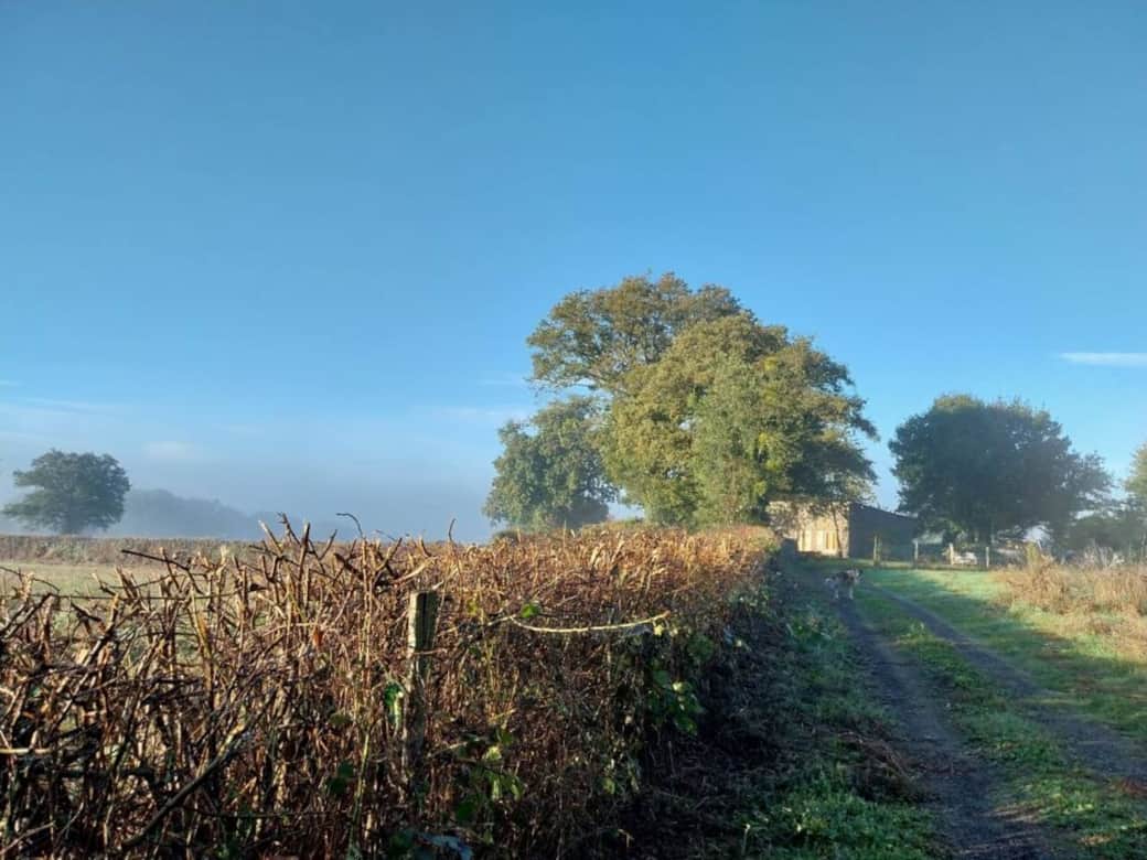 Paysage d'automne