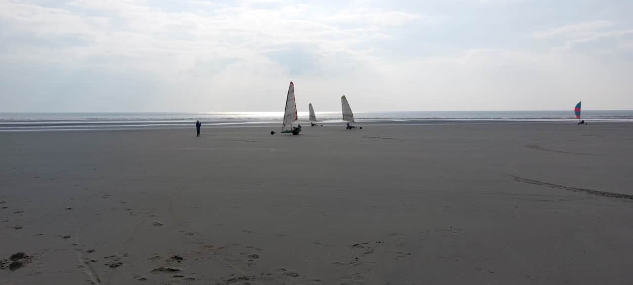 20230419_180230.jpg