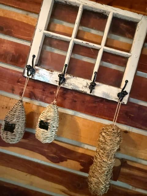Owl decor