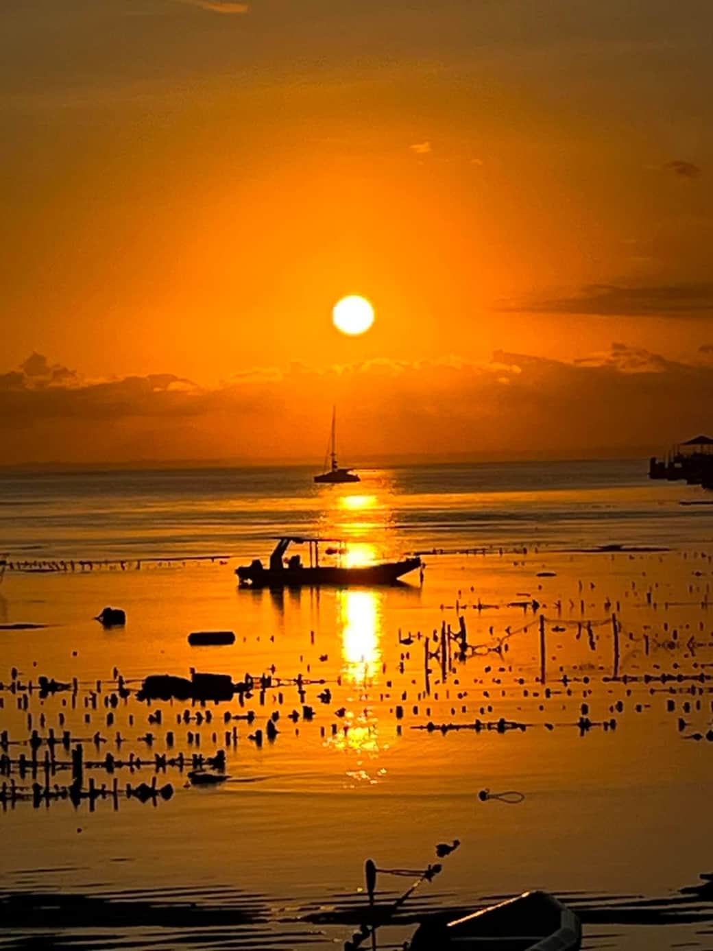 Evening Seaweed Farming
