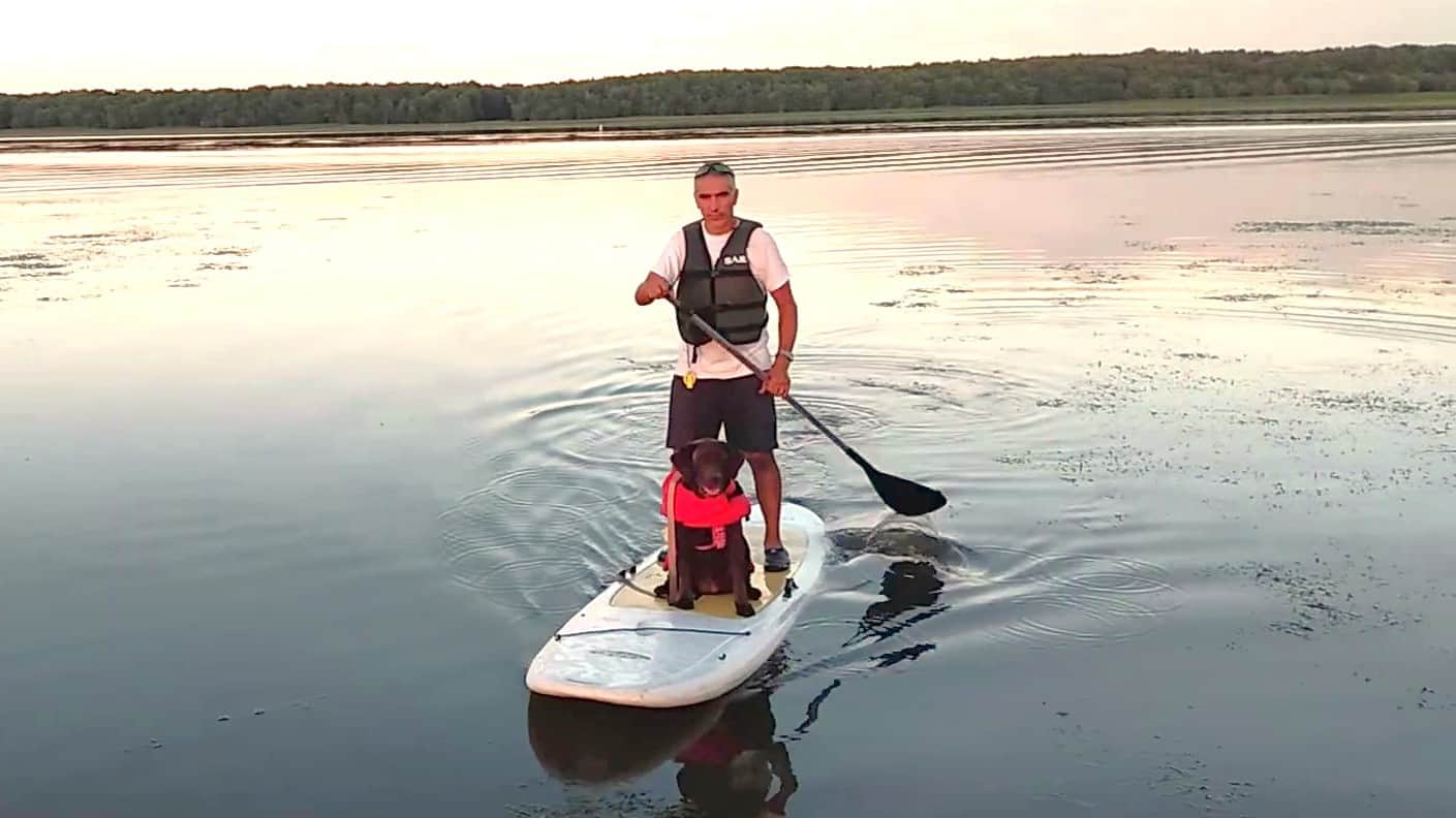 Planche à pagaie d'Aloberge sur le Richelieu