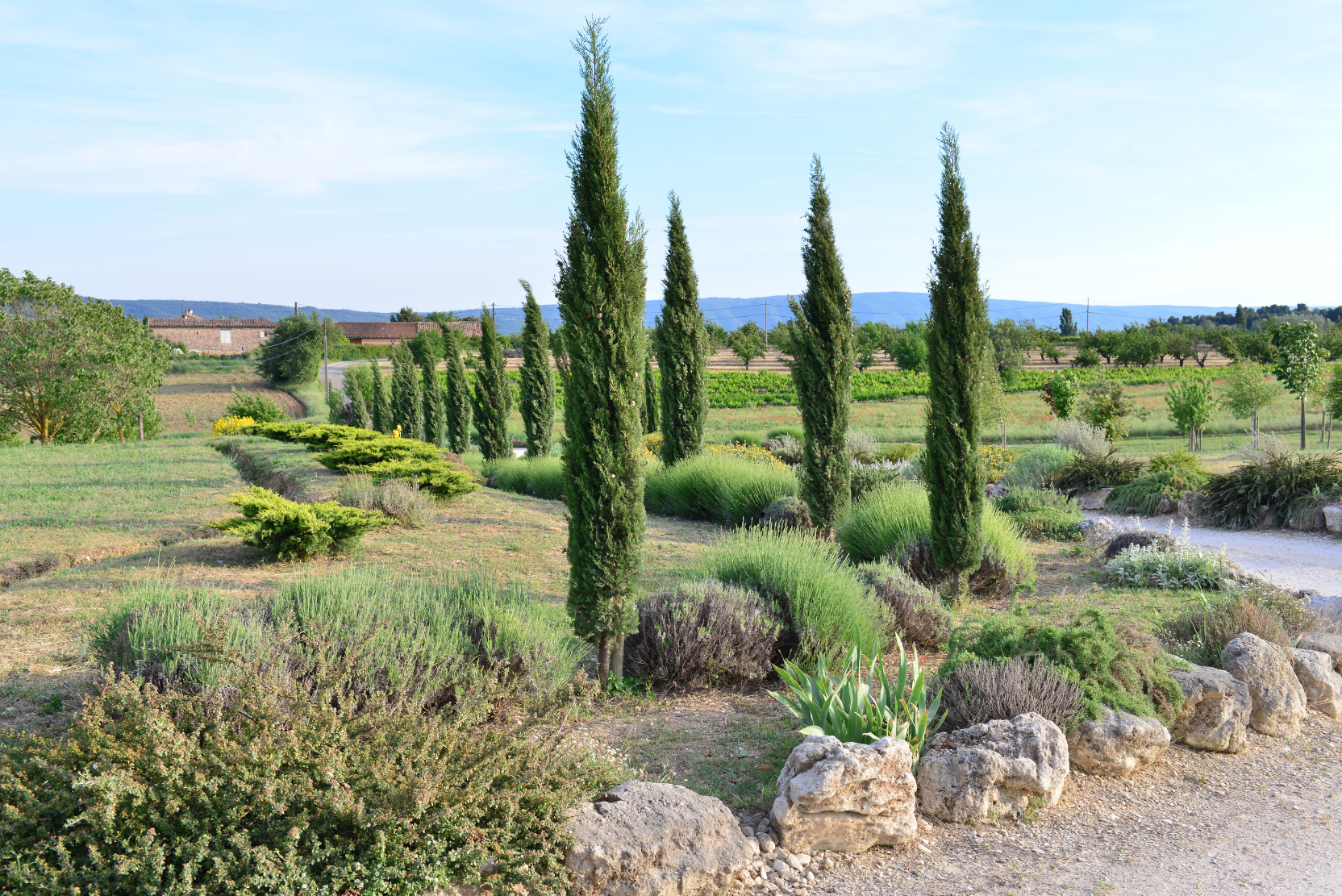 Luberon