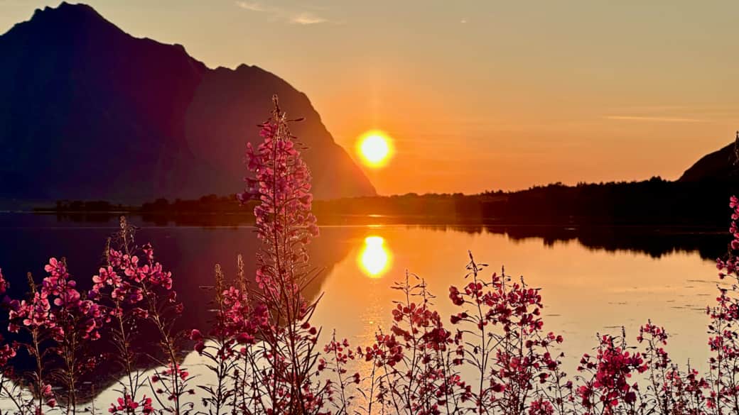 Long Island Wildlife View - 22 av 28 Long Island Wildlife View - 22 av 28