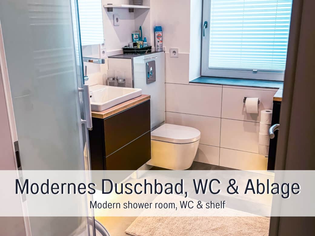 Modernes Duschbad mit WC und Ablagefläche