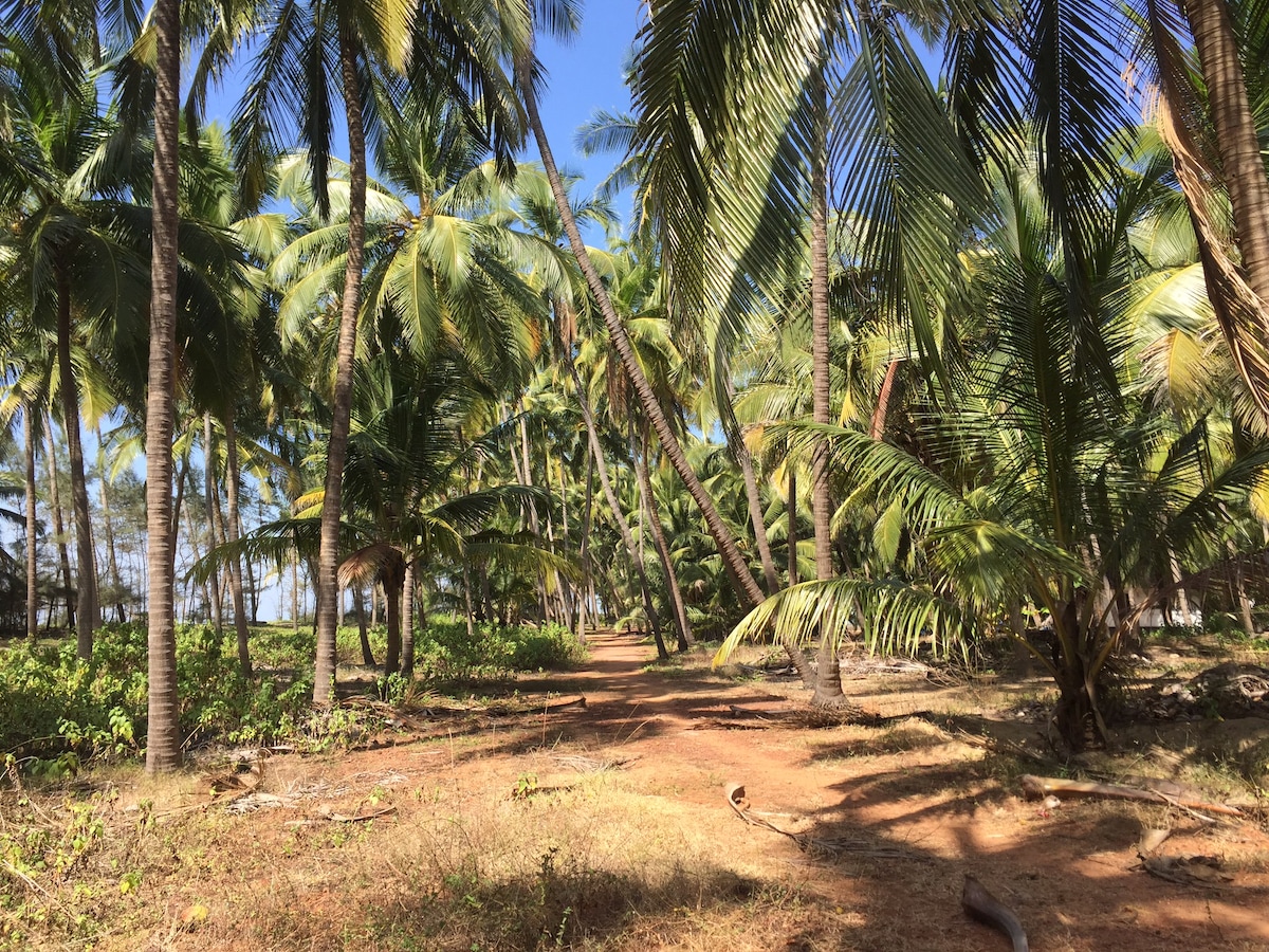 The Matsya House -Island Retreat, photo 22