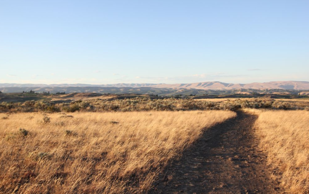 Yakima Pet Friendly Vacation Rentals