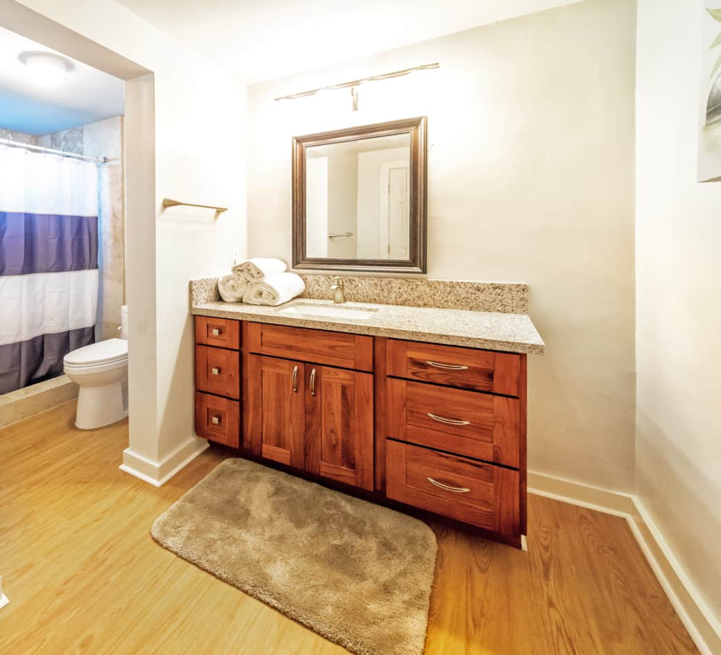 Downstairs guest suite bathroom