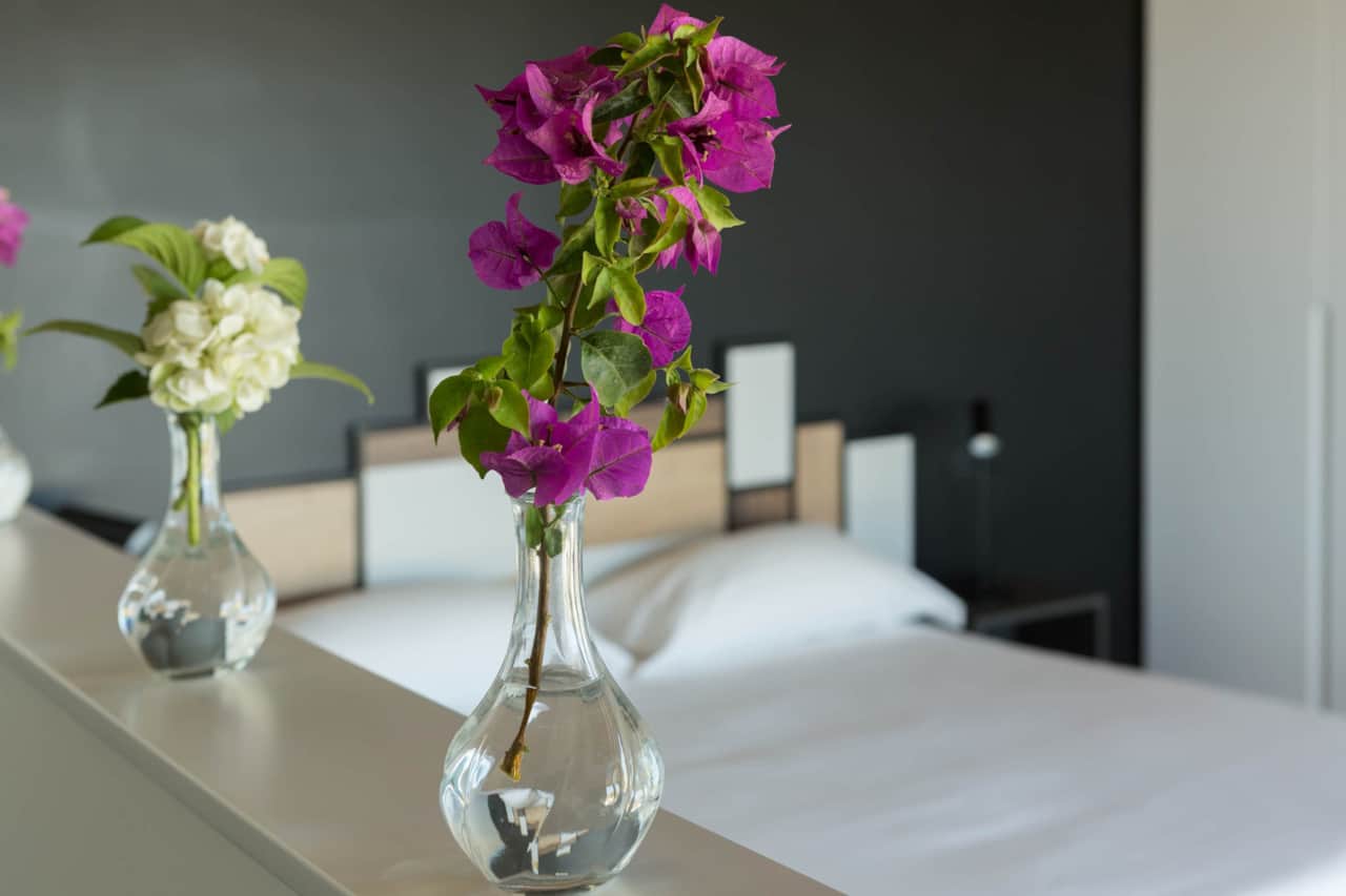 Suite Nidra