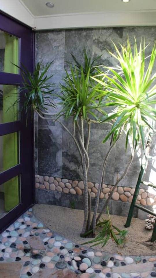 La salle de bains du Yucca