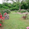Rental image