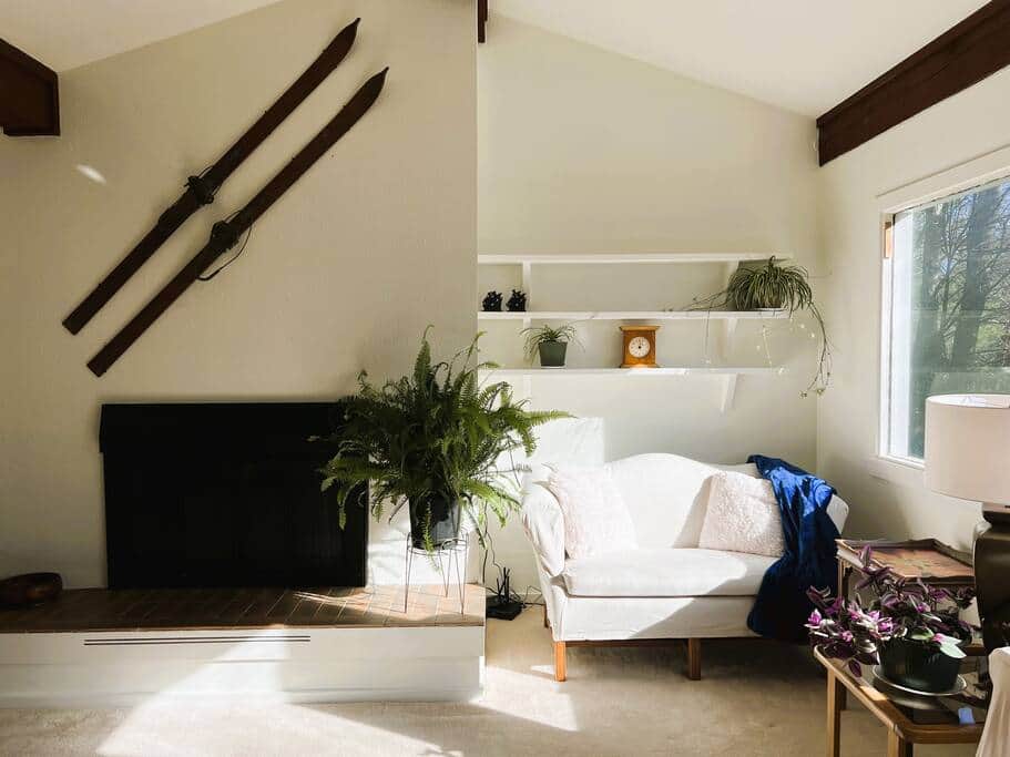 Fireplace, living room