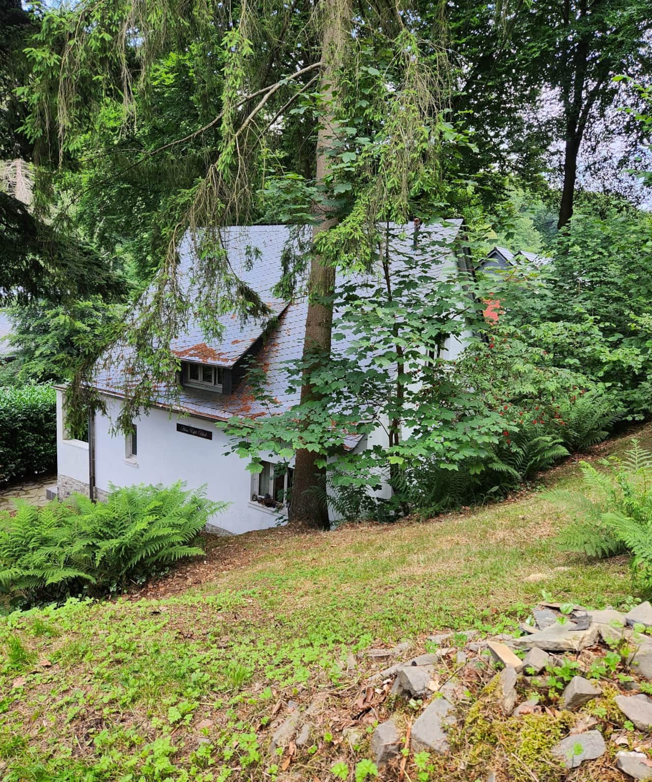 Forest House 5