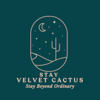 Stay Velvet Cac