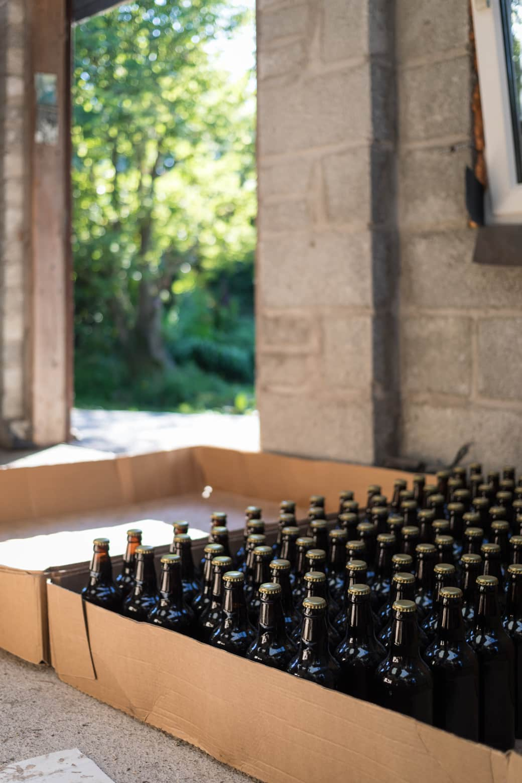 bottles of beer waiting to be labeled