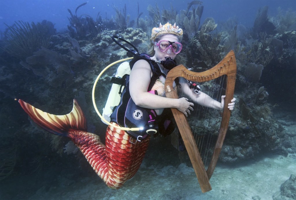 Festival de música de sirena