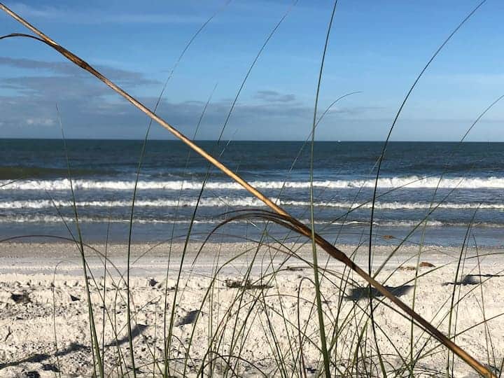 The Beach