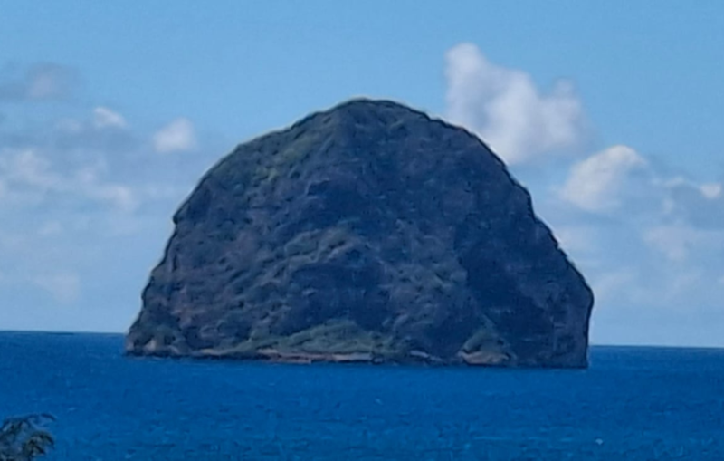 Le Rocher du Diamant vu depuis la côte