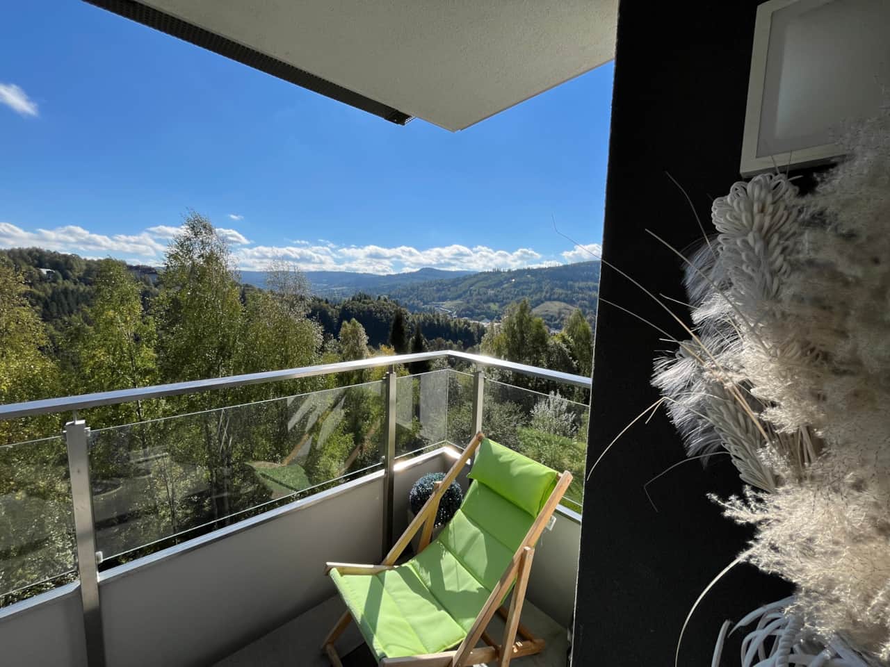 View
