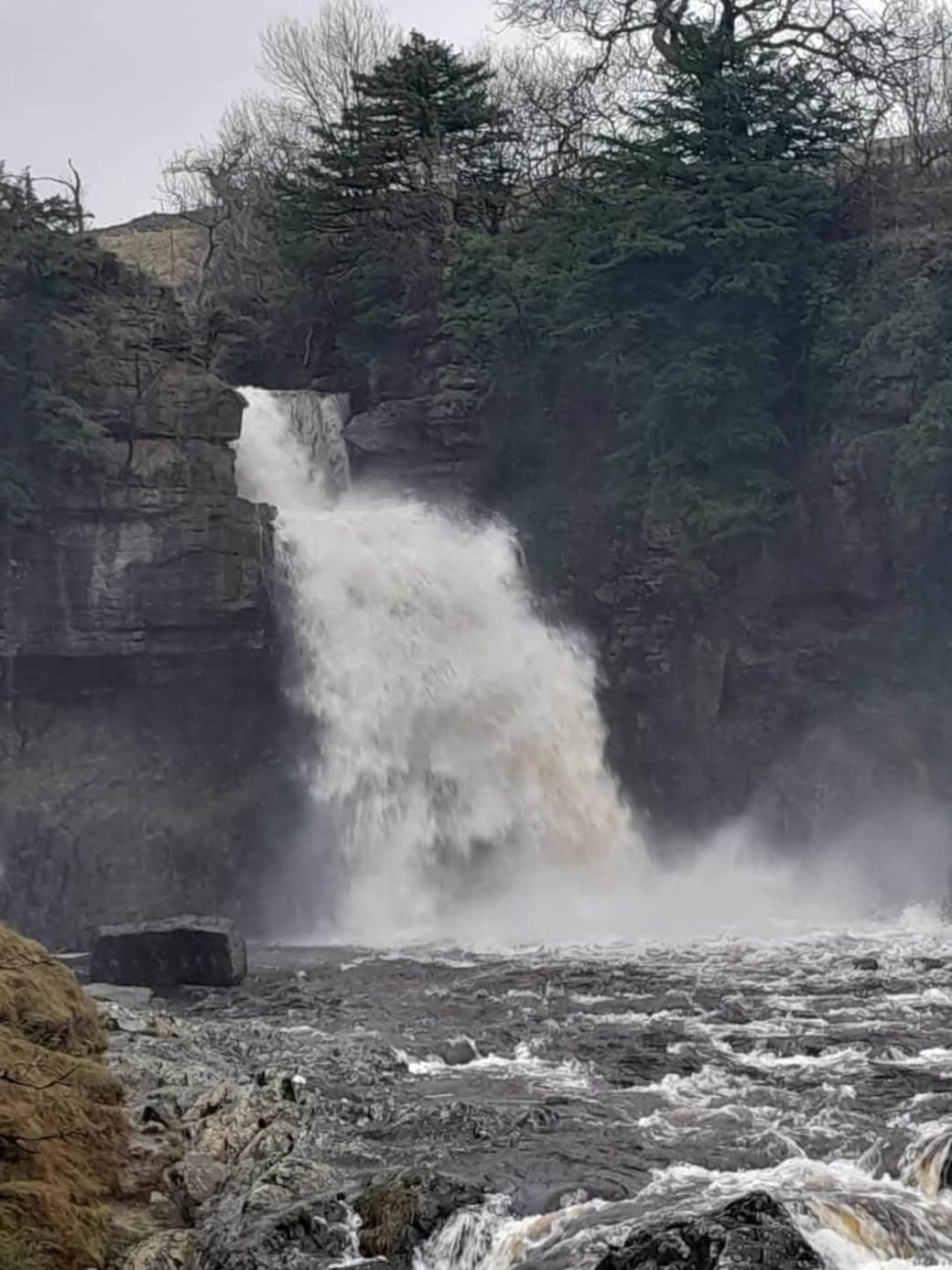 Along the circular Ingleton Waterfalls Trail, Thornton Force is the largest of the six waterfalls on the route. A well-kept woodland walk with bridges and clear paths — a steady, rewarding day out with the dogs on lead.
