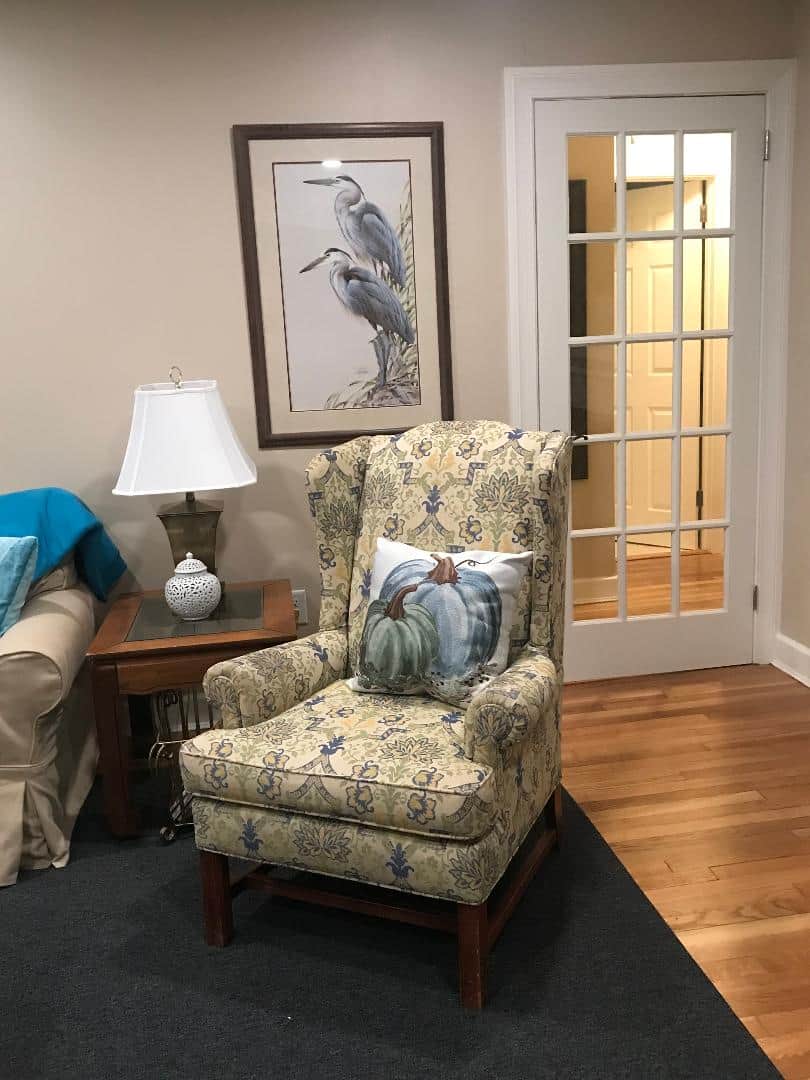 Wingback heron