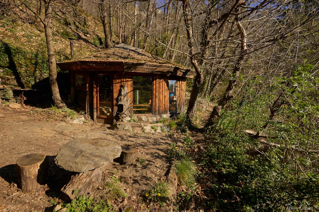 Little Cabin