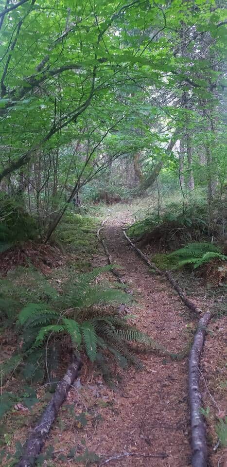 Your invitation to stroll our creekside trail