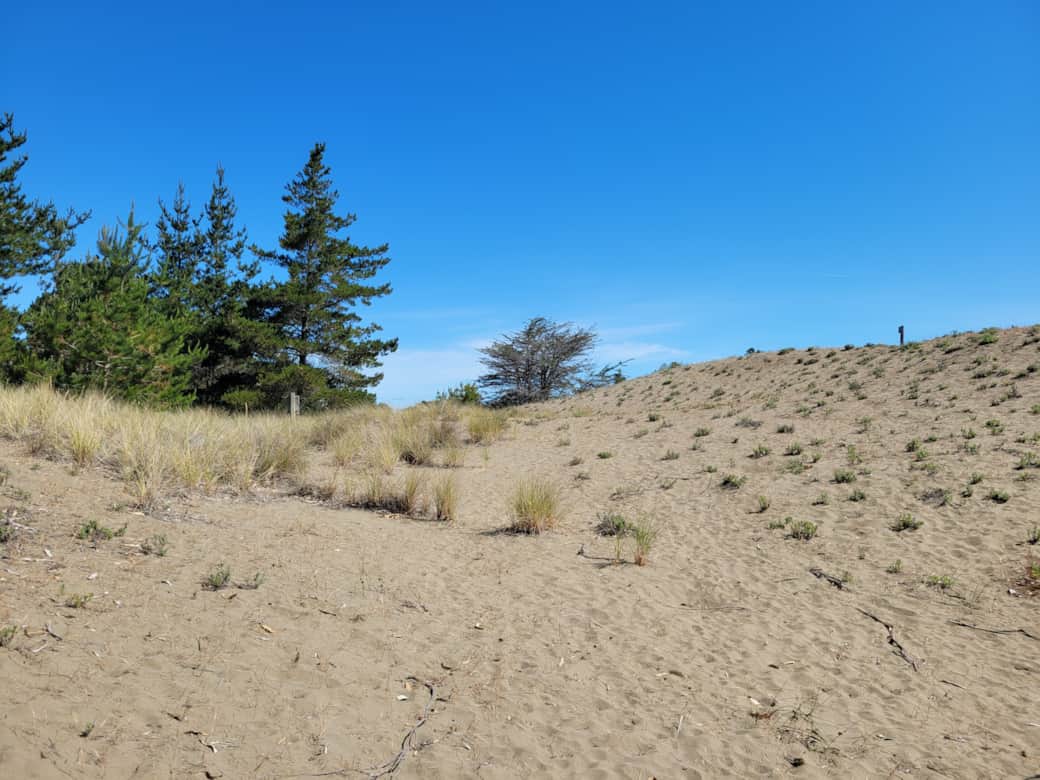Scc sand dunes in the back