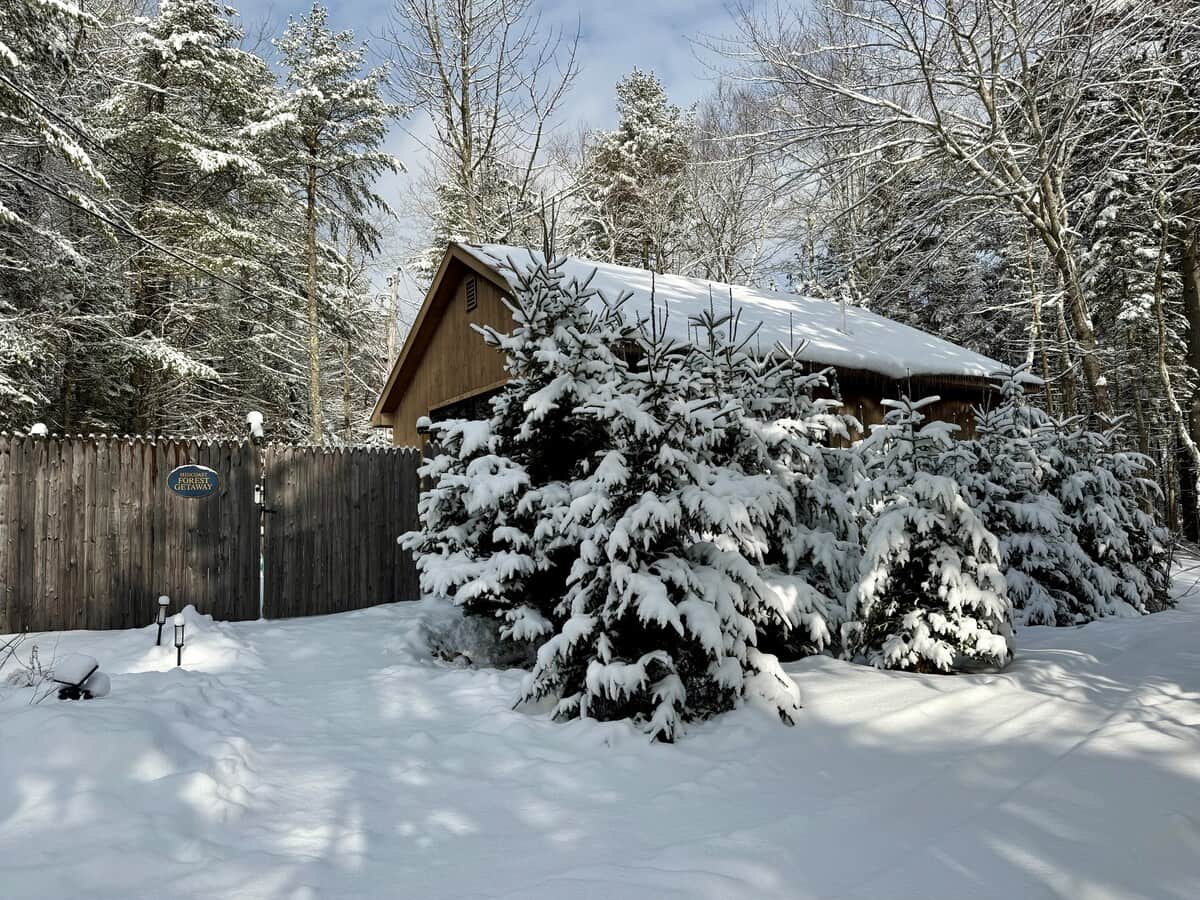 Enjoy the quiet beauty of a winter wonderland right outside your window.