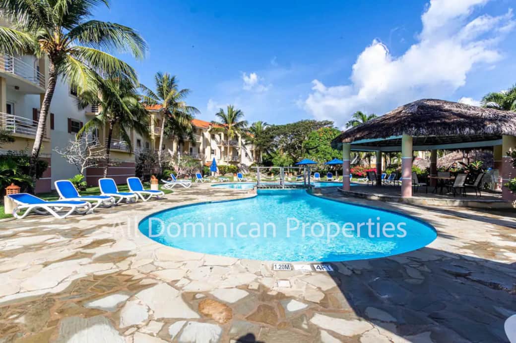 Garden / pool