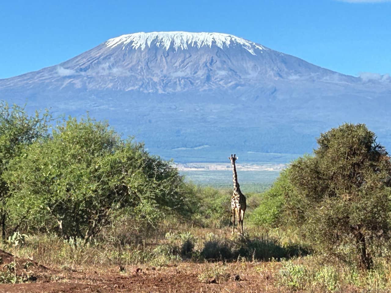 Kili