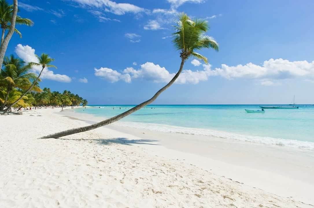 Lazy days on the beach