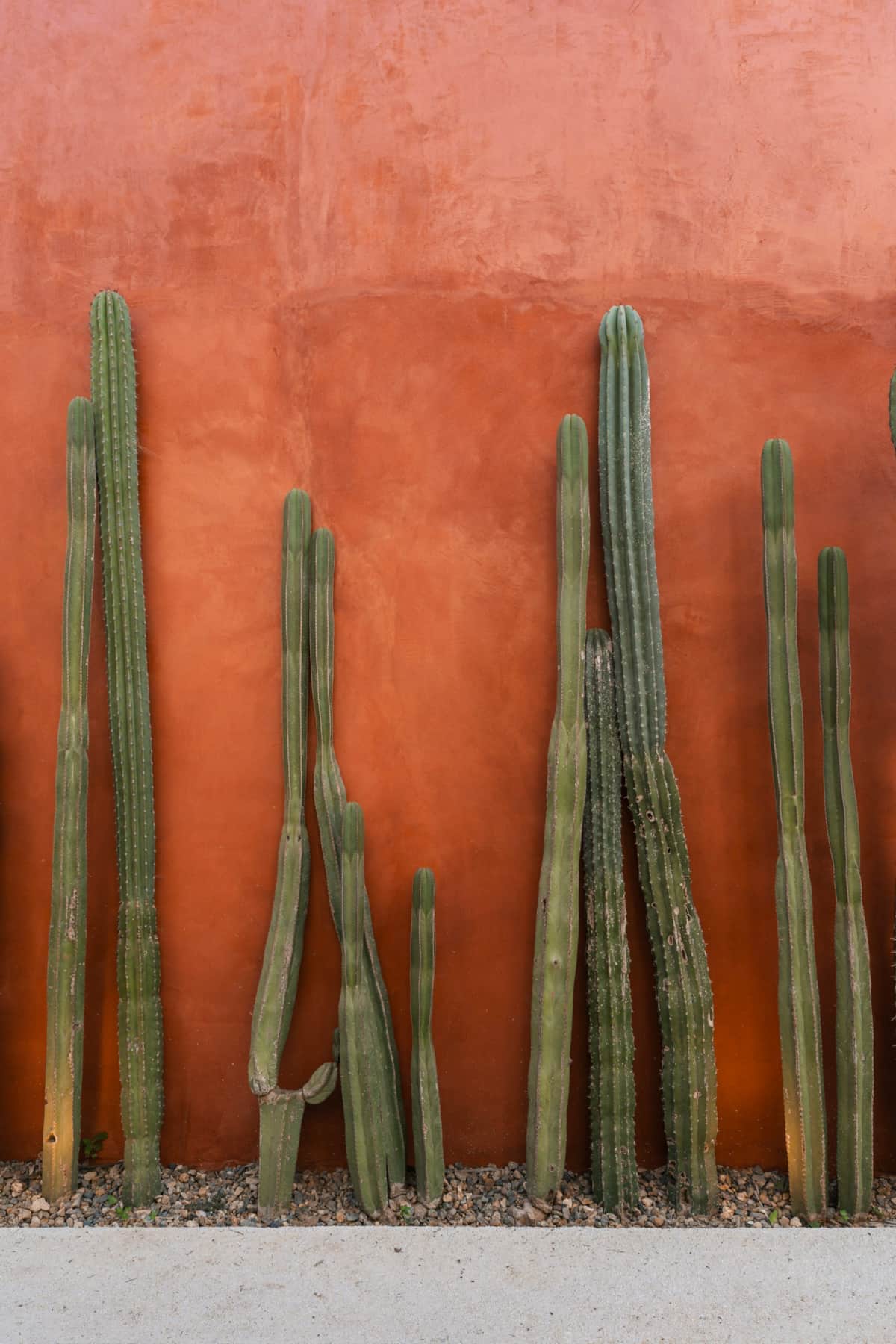 https://l.icdbcdn.com/oh/864a255d-6d0e-431c-a82f-c9a6b7ef4316.jpg?w=2080-0