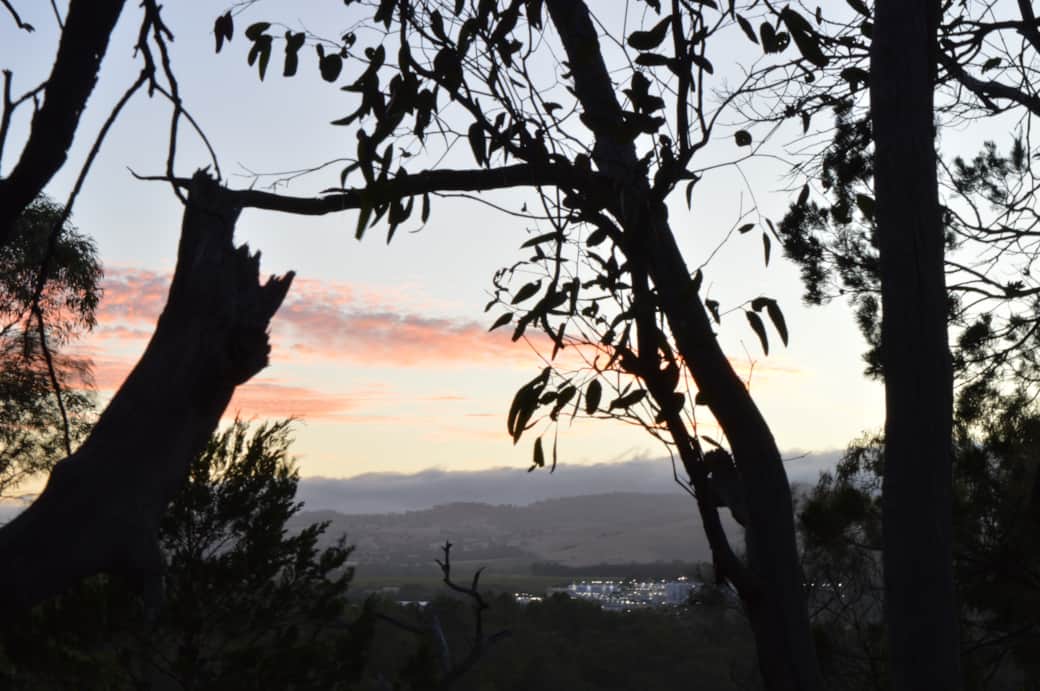 View of Vinarchy in Rowland Flat from the Altona Forest Reserve
